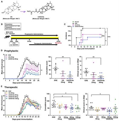 Ursolic acid derivative UAOS-Na treats experimental autoimmune encephalomyelitis by immunoregulation and protecting myelin